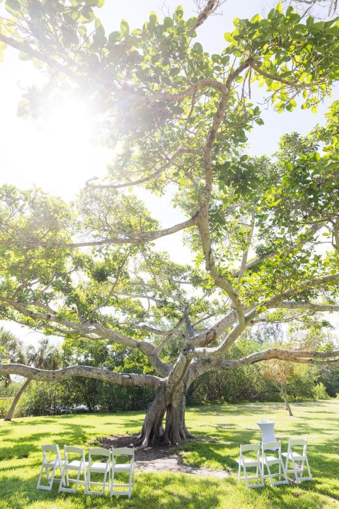 Small Miami Weddings - Darryl and Jorge-2