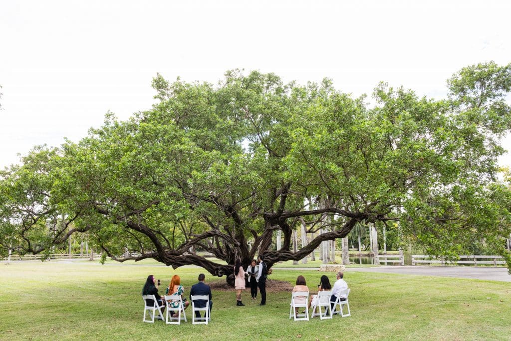 Small Miami Weddings - Coastal Tropical Garden, Miami Garden Elopement, Miami Garden Wedding, Tropical Miami Wedding (4)
